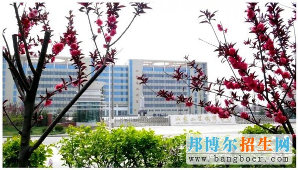 山東工業(yè)職業(yè)學(xué)院學(xué)院北門7961