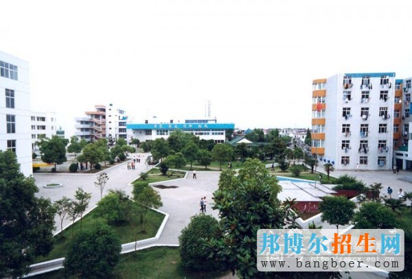 民辦合肥經濟技術職業(yè)學院校園一角5317