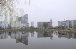 安徽國防科技職業(yè)學院“柳”戀湖光倒影5094