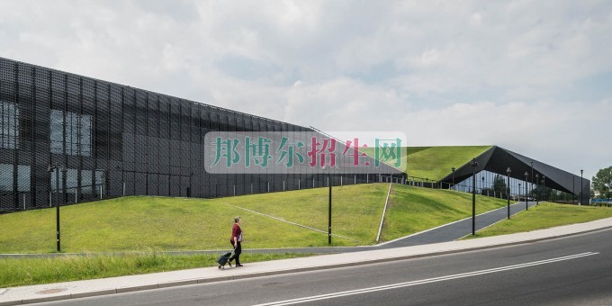 初中畢業(yè)可以學環(huán)境藝術(shù)設計專業(yè)嗎