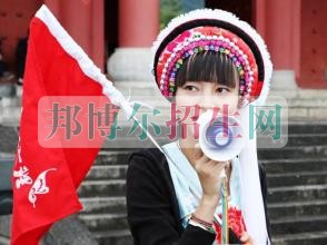 導游好嗎