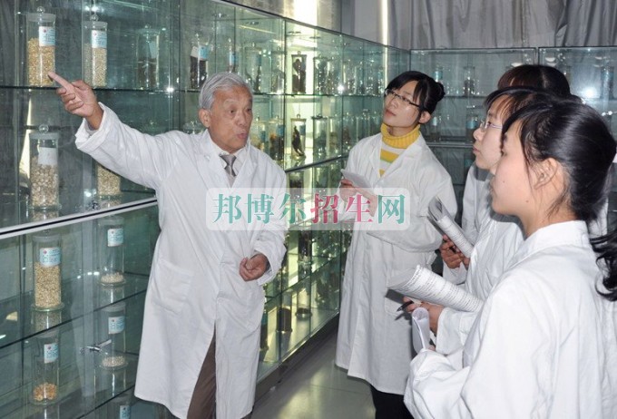 中專學中醫(yī)學有前途嗎