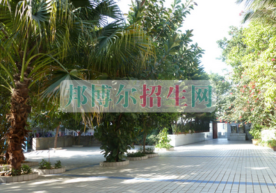攀枝花商貿(mào)電子職業(yè)技術(shù)學(xué)校網(wǎng)站網(wǎng)址
