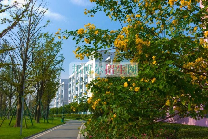 成都哪些大專學校的電子信息工程技術(shù)好