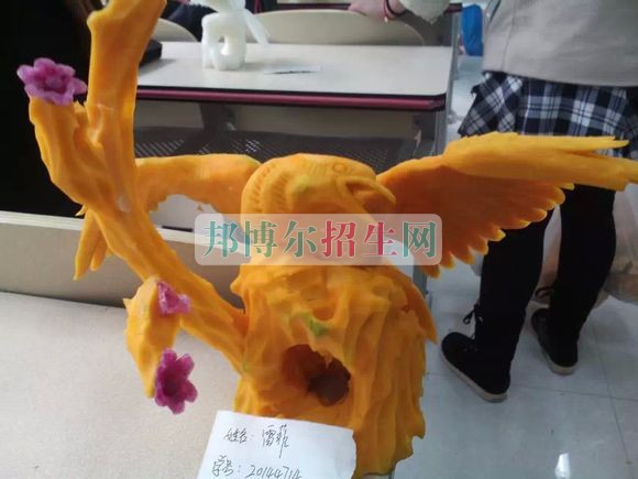 成都烹飪工藝與營養(yǎng)學(xué)校招生要求