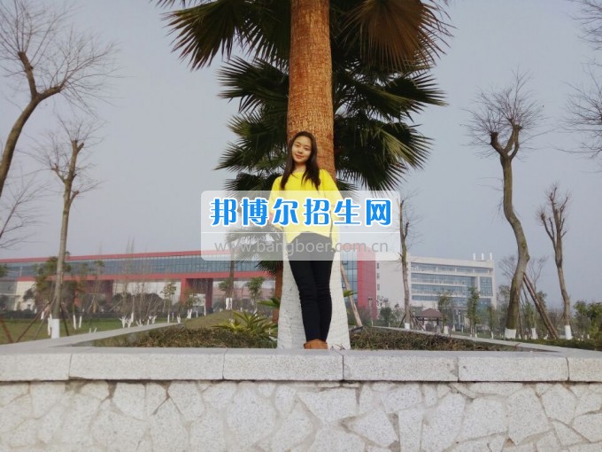 川南幼兒師范高等?？茖W校光榮榜