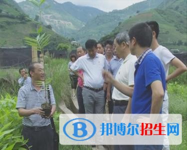 四川省樂山市竹根職業(yè)中專學(xué)校有哪些專業(yè)