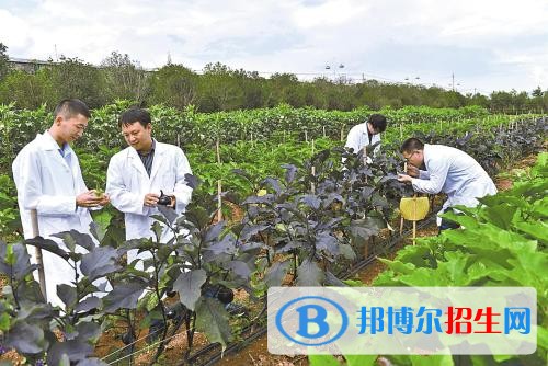 云南中專學(xué)校有哪些專業(yè)最好