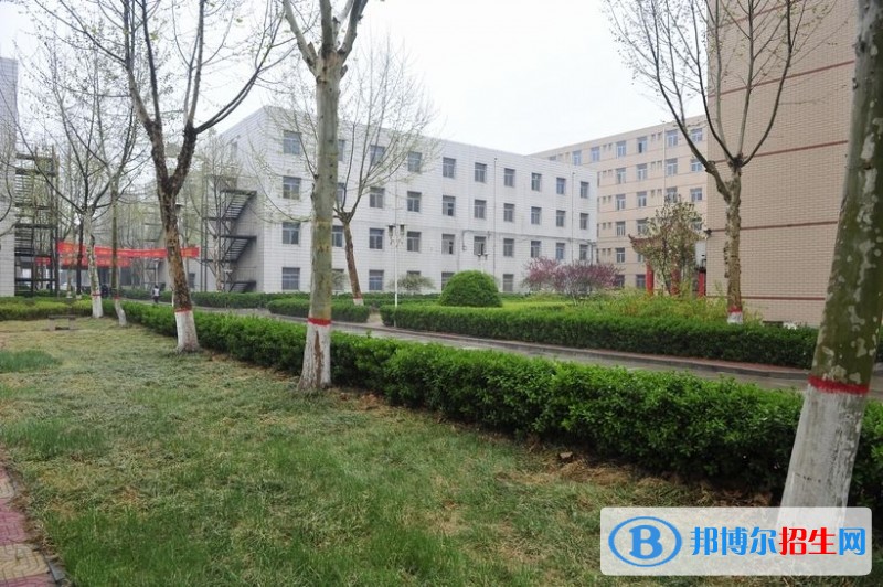 石家莊財經職業(yè)學院2019年單招錄取分數(shù)線