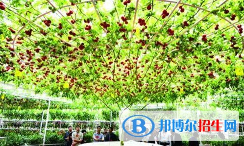 昆明讀中專學?？梢钥即髮W嗎