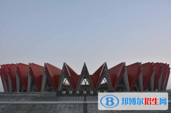 銅陵職業(yè)技術(shù)學(xué)院單招報(bào)名條件