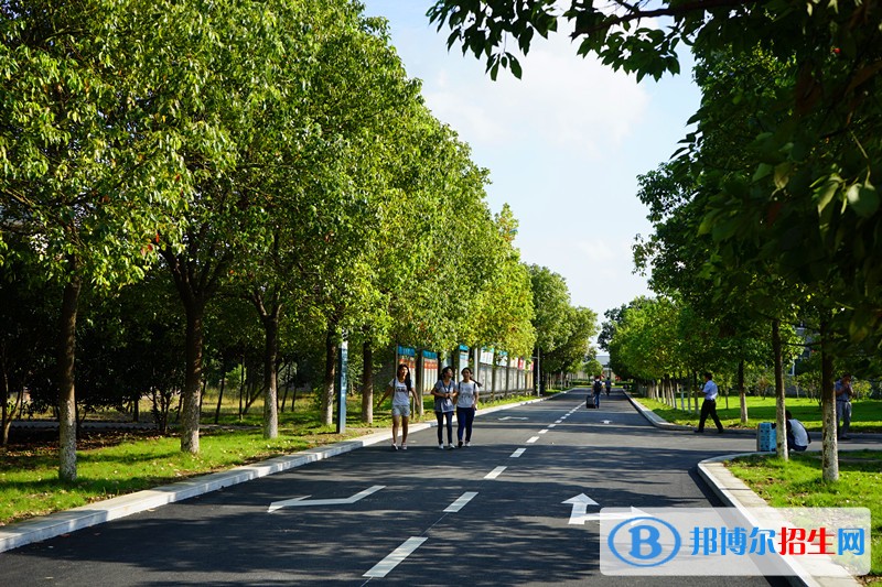 合肥濱湖職業(yè)技術(shù)學(xué)院單招報名條件