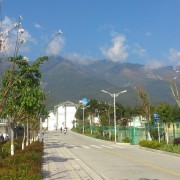 大理農(nóng)林職業(yè)技術(shù)學院五年制大專