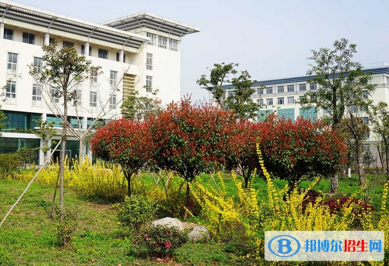 湖北中醫(yī)藥高等專科學院單招簡章