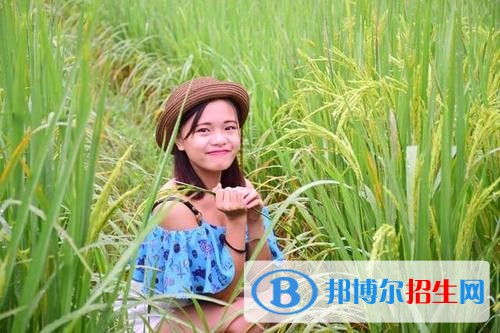 廣西生態(tài)工程職業(yè)技術(shù)學(xué)院?jiǎn)握?019年單獨(dú)招生成績(jī)查詢、網(wǎng)址入口
