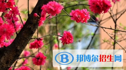 四川文理學(xué)院五年制大專地址在哪里