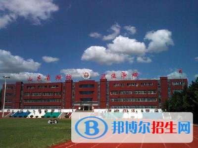 濰坊護理職業(yè)學院單招2019年單獨招生成績查詢、網(wǎng)址入口