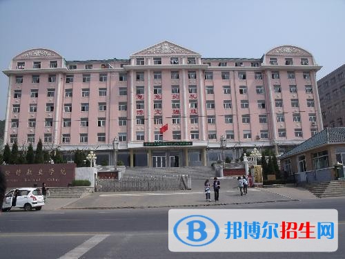 大連軟件職業(yè)學(xué)院單招2019年單獨招生報名時間、網(wǎng)址入口
