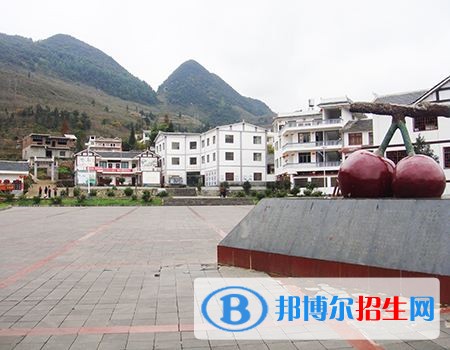 赫章縣平山農(nóng)業(yè)技術(shù)高級中學(xué)2019招生簡章