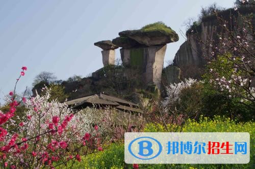 紹興職業(yè)技術(shù)學院五年制大專網(wǎng)站網(wǎng)址