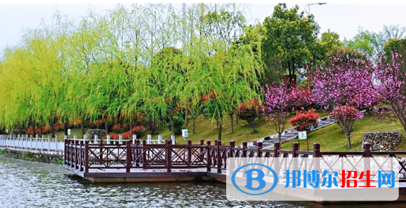 萍鄉(xiāng)衛(wèi)生職業(yè)學(xué)院五年制大專2020年報名條件、招生要求、招生對象
