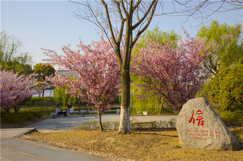 宿遷愛迪生中等專業(yè)學(xué)校網(wǎng)站網(wǎng)址