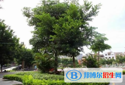 羅定中等職業(yè)技術(shù)學(xué)校2020年報(bào)名條件、招生要求、招生對象
