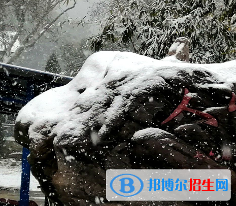 http://www.suliaoposuiji.cn/ujxtyjsgcxx/