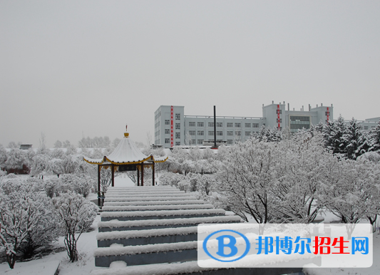 佳木斯職業(yè)學(xué)院單招2020年單獨招生成績查詢、網(wǎng)址入口 