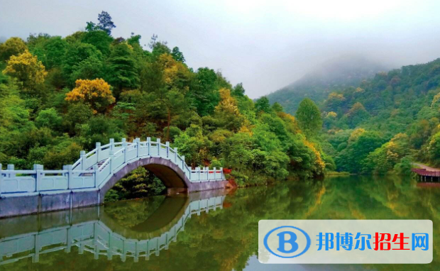 大余職業(yè)技術教育中心2020年有哪些專業(yè)