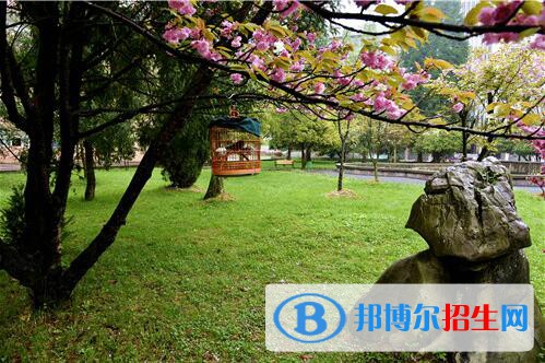 貴州林業(yè)學(xué)校2020年報(bào)名條件、招生要求、招生對(duì)象