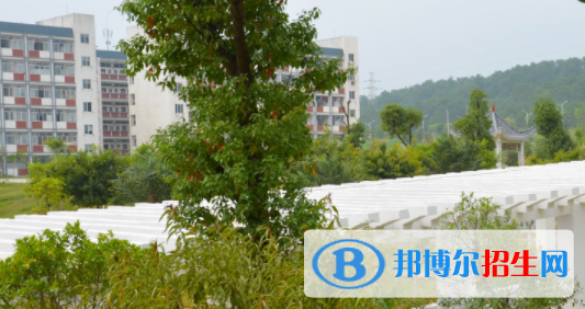 廣西賀州職業(yè)學(xué)院2020年報(bào)名條件、招生要求、招生對(duì)象 