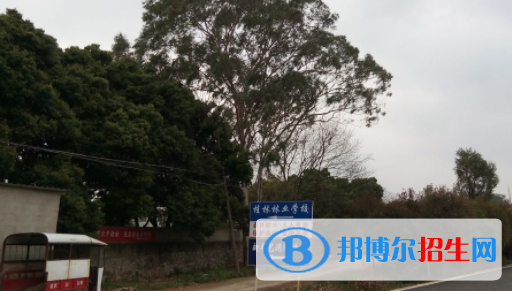 桂林林業(yè)學校2020年招生簡章