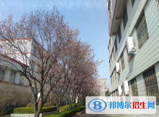 河南平頂山外國(guó)語(yǔ)學(xué)校2021年招生辦聯(lián)系電話