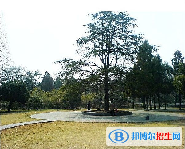 云夢(mèng)中等職業(yè)技術(shù)學(xué)校2020年招生辦聯(lián)系電話