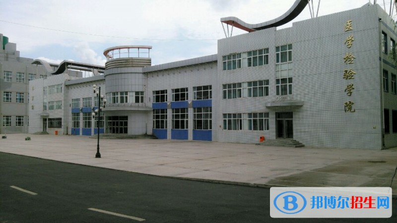 護理12