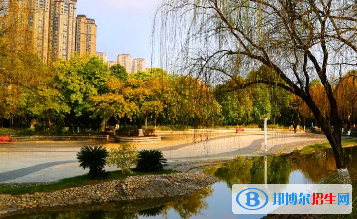 綿陽東辰國際學(xué)校高中部
