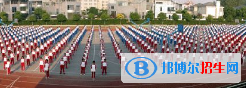 新虹橋中學國際部