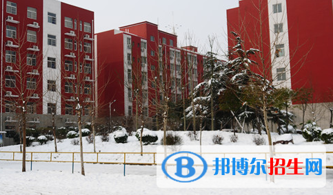 洛陽(yáng)華洋國(guó)際學(xué)校怎么樣、好不好