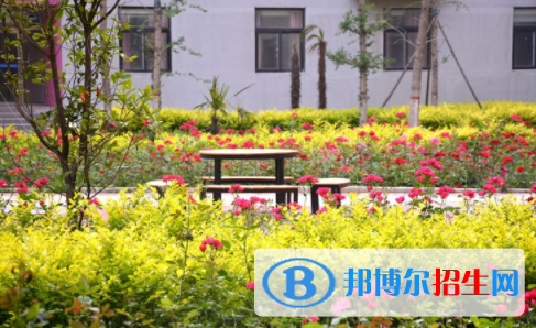 河南師大附中雙語國際學(xué)校2020年報名條件、招生要求、招生對象