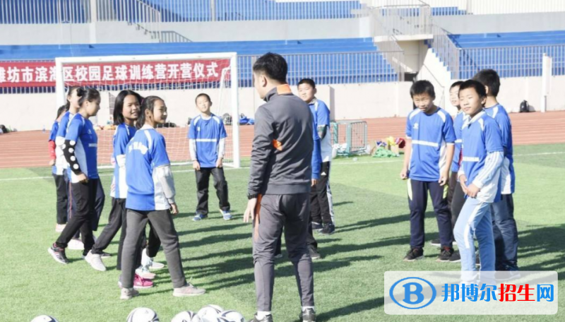 濰坊濱海國際學(xué)校2020年學(xué)費(fèi)、收費(fèi)多少