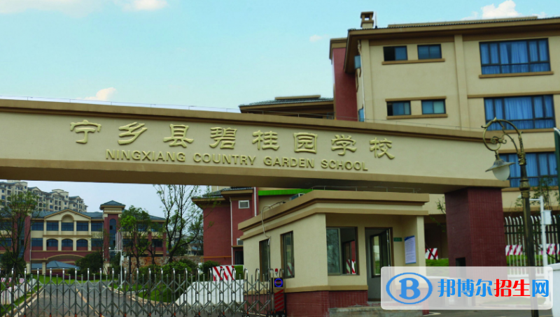 寧鄉(xiāng)碧桂園學(xué)校2020年招生簡章
