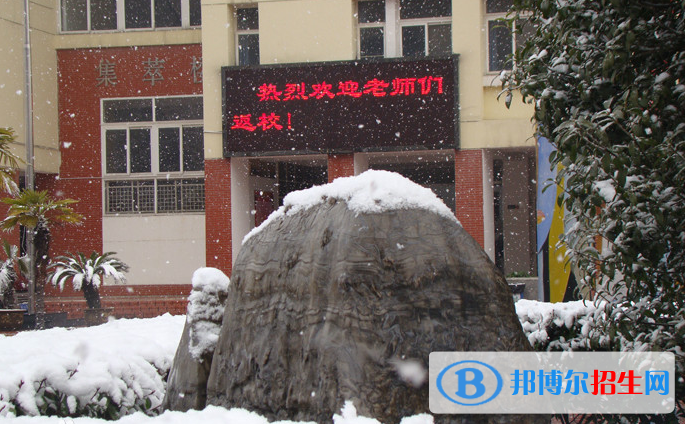 合肥世界外國語學(xué)校2020年學(xué)費(fèi)、收費(fèi)多少