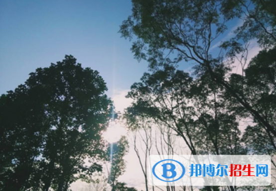 宜春幼兒師范高等專(zhuān)科學(xué)校2020年報(bào)名條件、招生要求、招生對(duì)象