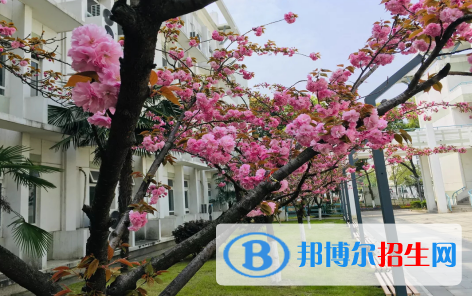 南京師范大學(xué)附屬實(shí)驗(yàn)學(xué)校國際部2020年招生計(jì)劃