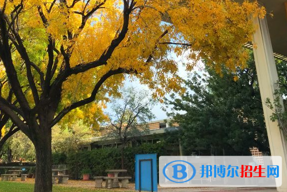 上海金蘋果雙語學(xué)校國際部2023年招生辦聯(lián)系電話