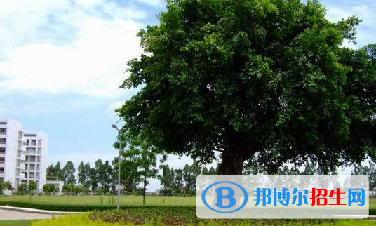 廣東女子職業(yè)技術學院怎么樣、好不好