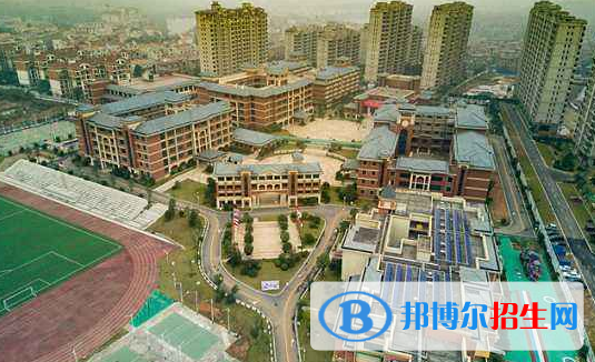 廣東碧桂園(IB國際)學校怎么樣、好不好