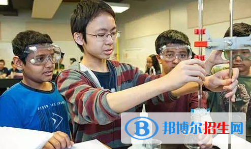 深圳貝賽思國際學(xué)校2023年招生計(jì)劃