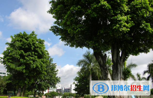 深圳石巖公學(xué)國(guó)際部高中地址在哪里